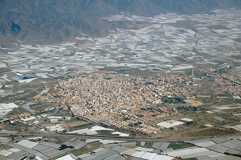 File:El Ejido.jpg