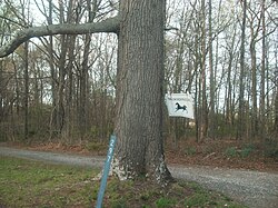 Entrance to Woodside, Buckingham County, VA.jpg