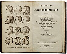 Ernst Haeckel - Natürliche Schöpfungsgeschichte, 1868.jpg
