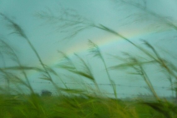 Farm in Hawaii with a Rainbow