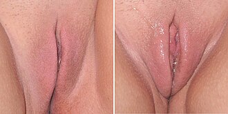 Wie man Muschi eng wird Porno-Titte