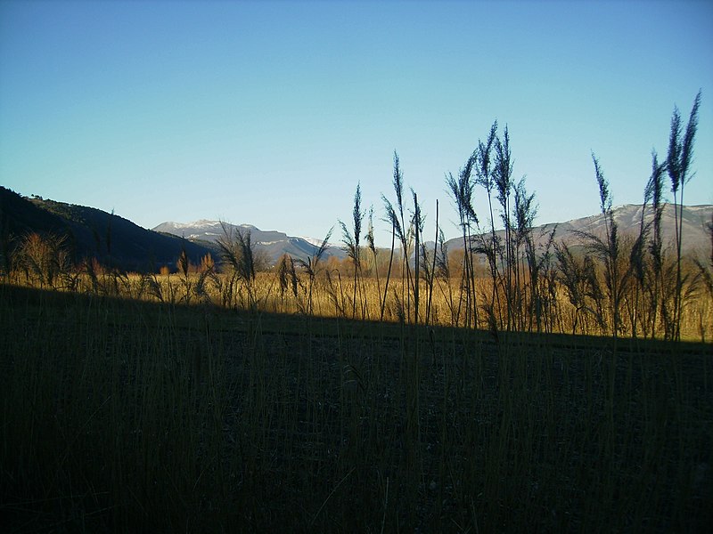 File:Field - by Sara F. Delić - panoramio.jpg