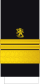 Vara-amiraali (Finnish Navy)[25]