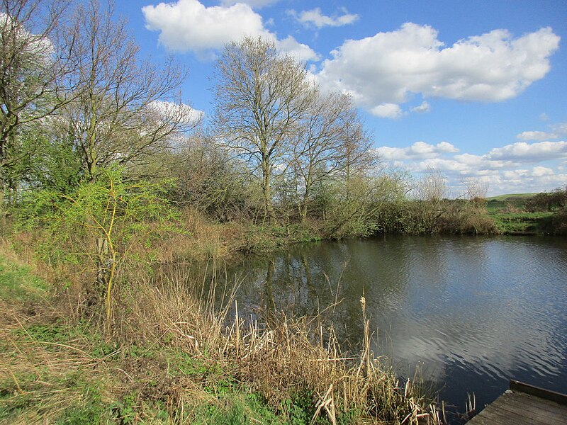 File:Fishing pond - geograph.org.uk - 5335372.jpg