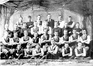 1895 VFA season