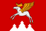 Flag of Kuzhenersky rayon (Mariy-El).png