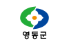 Vlag van Yeongdong