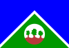 Flag rondonia alta floresta doeste.svg