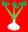 Fokhagyma (heraldika).PNG