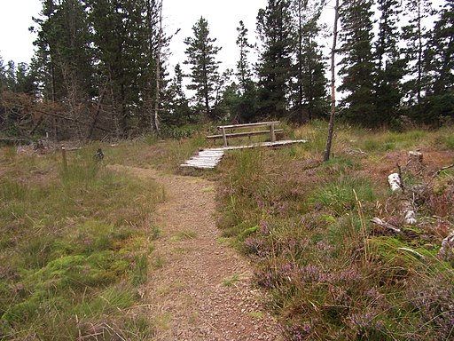 Footbridge linking paths near Rivoulich - geograph.org.uk - 2028650