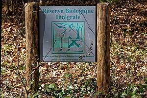 Bornes de la réserve intégrale