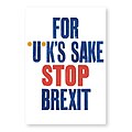 Anti Brexit Poster