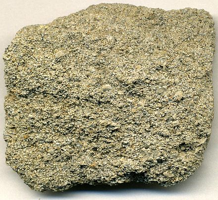 Fossiliferous peloidal phosphorite, (4.7 cm across), Yunnan Province, China.