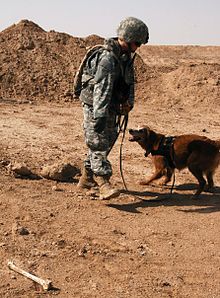 A U.S. contractor and her dog search for Private Byron Wayne Fouty, Specialist Alex Ramon Jimenez, Private First Class Joseph John Anzack after their capture. Four US Soldiers.jpg