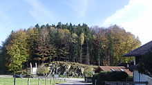 Sichtbares Flyschgestein am Franzosenhügel