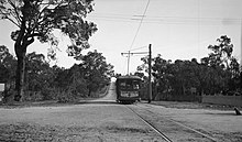 Route M tram on High Street bound for Carrington Street, c 1923 Fremantle tram Carrington.jpg