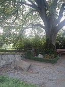 Friedrich von wachter-tomb-01.jpg