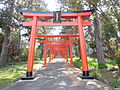 Sapporo Fushimi Inari Shrine 札幌伏見稲荷神社