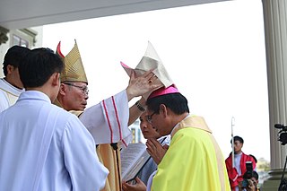 Giuse Nguyễn Chí Linh: Thân thế và những năm đầu tu nghiệp, Linh mục, Giám mục Giáo phận Thanh Hóa