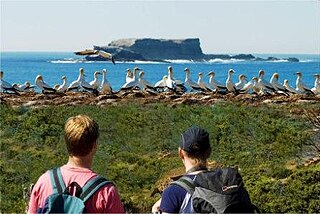 <span class="mw-page-title-main">Great South West Walk</span> Australian walking track