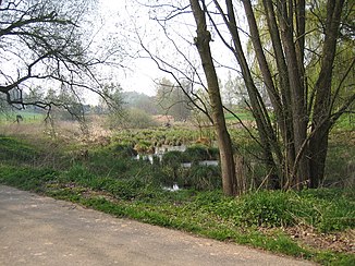 The old mill pond of the Obermöller mill, fed by the Habighhorster Bach