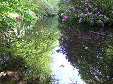 The lake, seen on 29 May 2011 Gilbert's lake.jpg