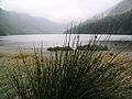 Glendalough