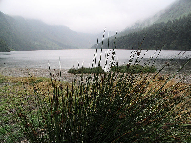 File:Glendalough Lake Ireland.jpg