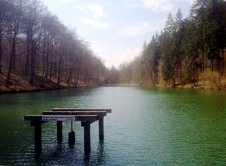 Grenzteich mit Striegelgeruest