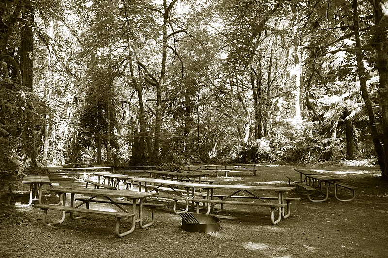 File:Group of picnic tables in the day use area at Cascadia State Park.jpg
