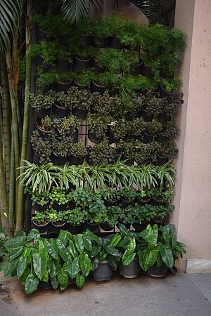 Hanging pot garden.jpg