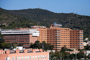 Hospital Vall Hebron 7135 resize.jpg