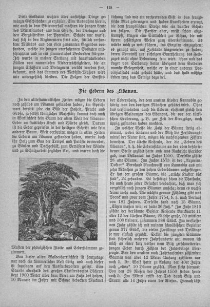 File:Hottinger Volksblatt 1878 148.jpg