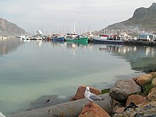 Hout Bay Harbour Hout Bay Harbour.jpg