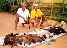Braconniers présentant plusieurs dépouilles de lémuriens (lémurs à front blanc et sifakas soyeux).