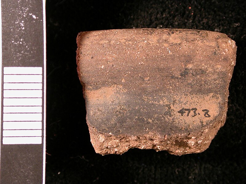 File:Iron Age Southwest Decorated rim sherd (exterior) (FindID 177878).jpg