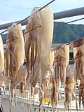 Thumbnail for File:Iwami squid drying DSC01868.jpg