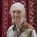 Jane Goodall: Primatologist and Anthropologist