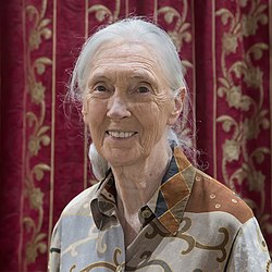 Jane Goodall: Britisk primatolog