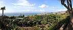 Jardim Botânico Funchal - Madeira - 01.jpg