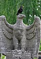 Johannisfriedhof - Dresden Tolkewitz - Der Kaiseradler und die Amsel