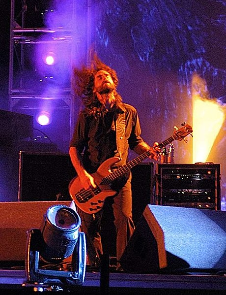 File:Justin chancellor tool roskilde festival 2006 cropped.jpg