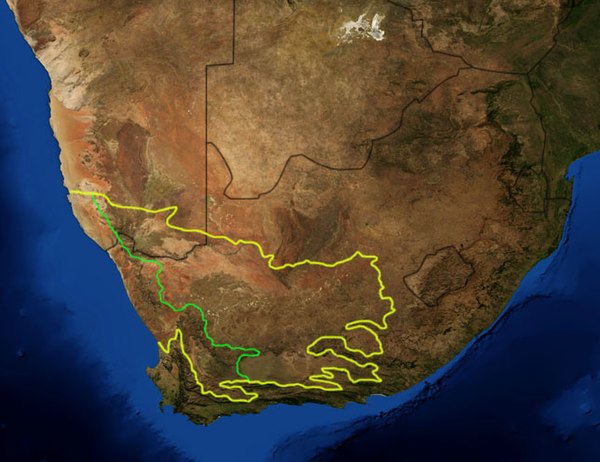 Map of the two Karoo ecoregions as delineated by the WWF. Satellite image from NASA. The yellow line encloses the two ecoregions. The green line separates the Succulent Karoo, on the west, from the Nama Karoo, on the east. National boundaries are shown in black.
