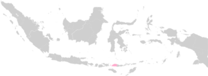Lokasi Keuskupan Ruteng