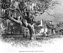 Kresba ze 70. let 19. století domu Kingsleyů, velkého dubu a dvojice dam procházejících se slunečníkem