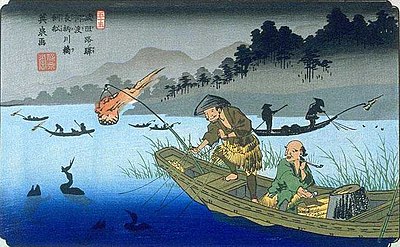 Cormorant fishing - Wikipedia