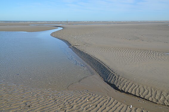 North Sea beach in Koksijde at low tide.