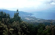 Ostküste von La Palma mit Erica arborea