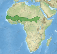 Reliefkarte Afrikas mit grün eingezeichnetem Verbreitungsgebiet