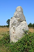 Le menhir.